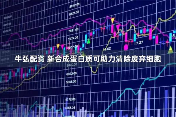 牛弘配资 新合成蛋白质可助力清除废弃细胞