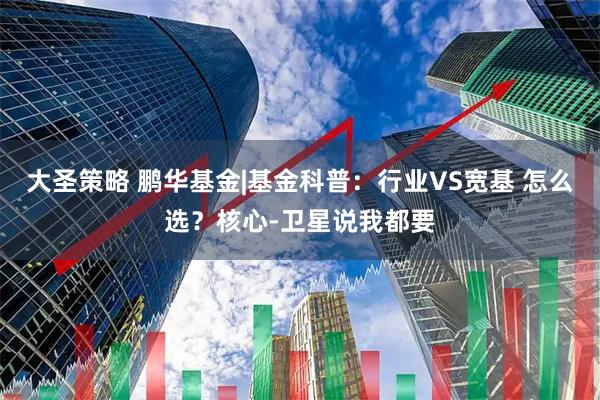 大圣策略 鹏华基金|基金科普：行业VS宽基 怎么选？核心-卫星说我都要