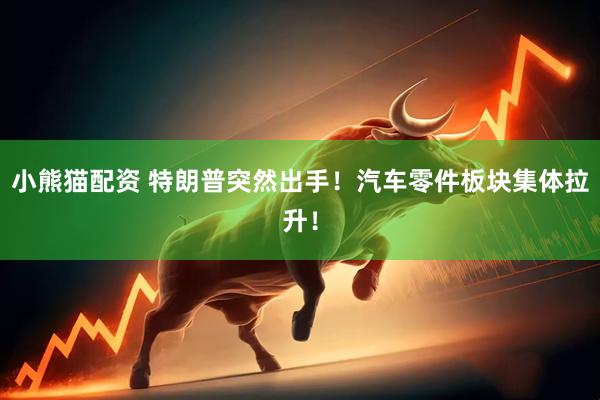 小熊猫配资 特朗普突然出手！汽车零件板块集体拉升！