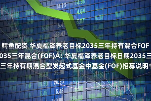 鳄鱼配资 华夏福泽养老目标2035三年持有混合FOF)Y,华夏福泽养老目标2035三年混合(FOF)A: 华夏福泽养老目标日期2035三年持有期混合型发起式基金中基金(FOF)招募说明书更新(2025年5月30日公告)
