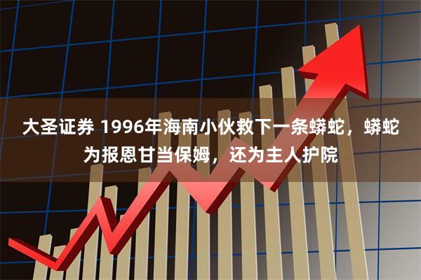 大圣证券 1996年海南小伙救下一条蟒蛇，蟒蛇为报恩甘当保姆，还为主人护院