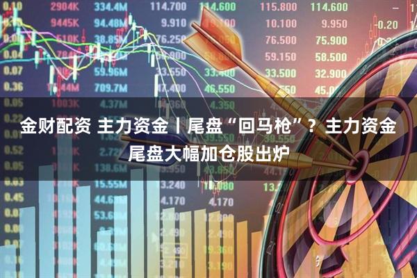 金财配资 主力资金丨尾盘“回马枪”?主力资金尾盘大幅加仓股出炉