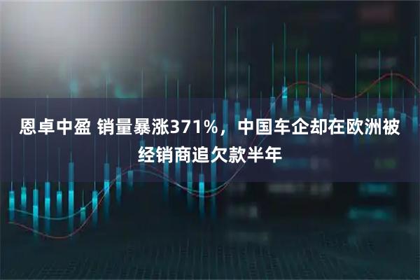 恩卓中盈 销量暴涨371%，中国车企却在欧洲被经销商追欠款半年